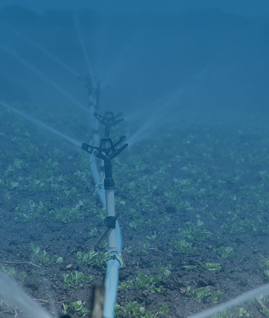 2025年植物冠層分析儀品牌知名度排名發布 云唐領跑行業